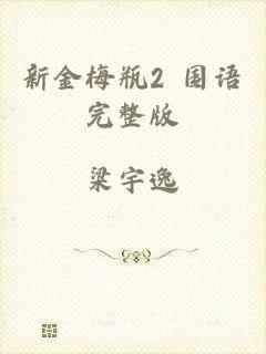 新金梅瓶2 国语完整版